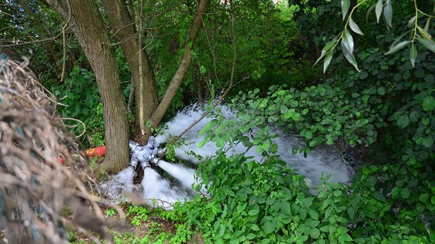 Hasiči odčerpávají vodu z rybníka v Rosnicích na Karlovarsku. Rybník je přeplněný a zaplavuje své okolí.