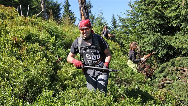 Dobrovolnci na zatku srpna vysekvali porosty borovice na Smrku v Beskydech. Borovice kle byla umle vysazena hlavn v 70. a 80. letech minulho stolet, aby chrnila pdu ped eroz. Vymkla se ovem kontrole a vytlaila pvodn porosty.