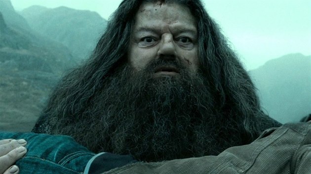 Robbie Coltrane ve filmu Harry Potter a Relikvie smrti - st 2 (2011)