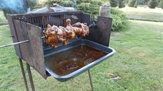 Grilovaná kuřecí stehna - Stehna naložíme do marinády z oleje a barbecue koření...
