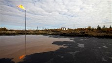 Do volné pírody po celém Rusku vytee na 1,5 milionu tun ropy ron
