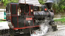 Historická parní lokomotiva na lesní eleznici u Nové Bystrice (Vychylovka)