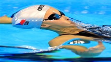 eská plavkyn v olympijské rozplavb na 100 metru na znak. Skonila sedmnáctá,...