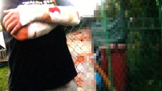 Agresivní pes nejprve pokousal svého majitele, pak ohro�oval i dal�í lidi.