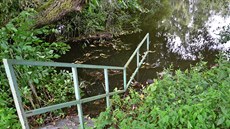 Hasii oderpávají vodu z rybníka v Rosnicích na Karlovarsku. Rybník je...