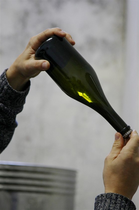 Vína z Kuksu se zpracovávají a zrají v Kutné Hoe.