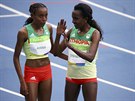 Vítzka bhu na deset kilometr Almaz Ayanaová pijímá gratulaci od etiopské...
