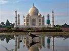 Odraz indického Tád Mahal v kalui vody