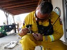 éf hasiského sboru Aldo Gonzales krmí zachránné kot. (15. 8. 2016)