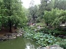 Peking - Shongshan Gongyuaen