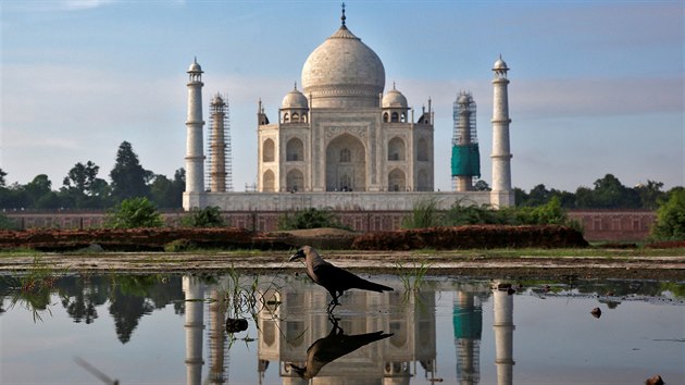 Odraz indického Tádž Mahal v kaluži vody