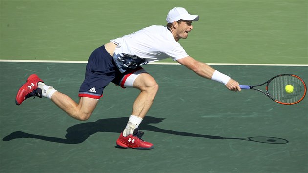 Britsk tenista Andy Murray v semifinlovm utkn s Japoncem Keiem Niikorim....