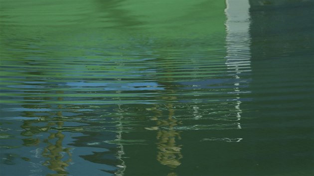 Zelen voda v baznu pro skokany do vody zaujala divky stejn jako sportovn...