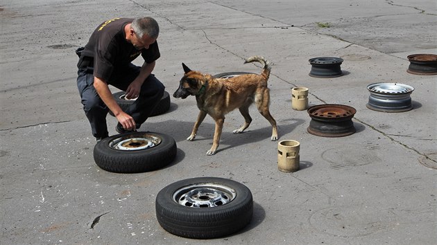 Vcvik policejnch ps zan zlehka. Zatm si spe hraj, pot je ek nron vcvik. Ve tech letech jdou do akce.