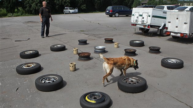 Vcvik policejnch ps zan zlehka. Zatm si spe hraj, pot je ek nron vcvik. Ve tech letech jdou do akce.