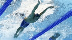 Americký plavec Michael Phelps plave v olympijském závodě na 100 metrů motýlek.