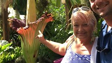 Renata Myslive�ková s man�elem v botanické zahrad� u rozkvetlých zmijovc�.