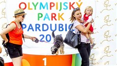 Olympijský park Pardubice se loni povedl, letos na nj naváe na stejném míst obdobn organizovaný Sportovní park Pardubice. 