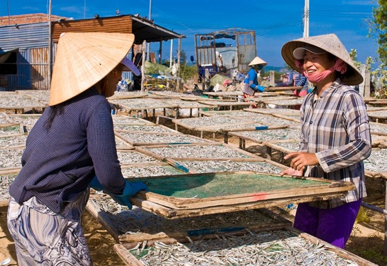 Vietnam (ilustraní foto).