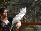 Výstava papouk, drobných exot, kepelek i holub promnila Botanickou...