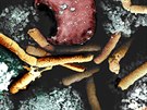 Bakterie antraxu (luté tyinky) napadají opií plicní tká. Snímek je falen...