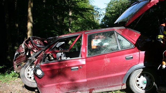 Ticetilet idi pobl jihomoravskho ru vyjel se svm autem koda Felicia z vozovky a po nrazu do stromu zemel. (23.8.2016)