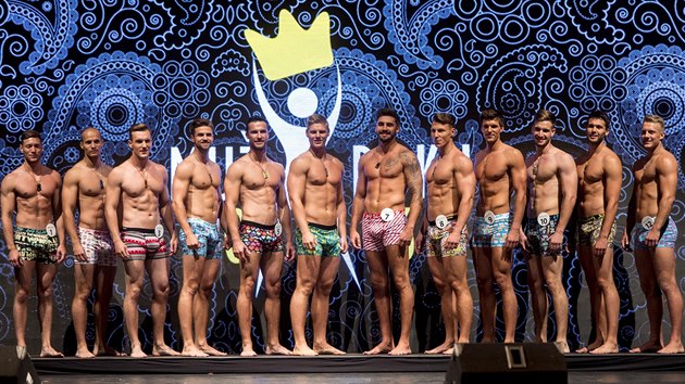 Finálový večer soutěže Muž roku 2016 se konal 26. srpna v Náchodě. Společná fotografie všech dvanácti finalistů.