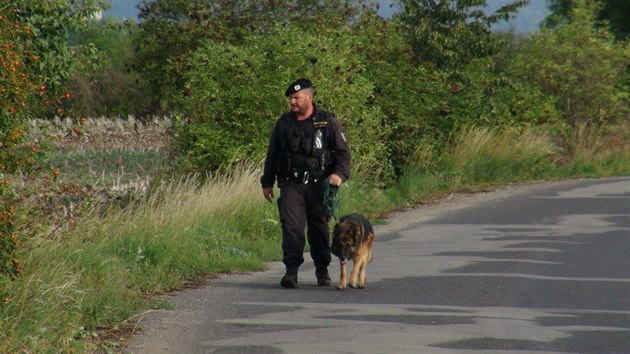 V pondl rno policie zasahovala u nehody auta nedaleko obce Zlonice na Mlnicku, mu si pravdpodobn pesedl z msta idie na sedadlo spolujezdce, aby zmtl policisty (22.8.2016)