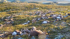 Blesk zabil pes 300 sob v Norsku (29.8.2016).