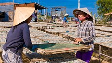 Vietnam (ilustraní foto).