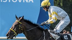 Luká� Sloup v kvalifikaci na Velkou pardubickou s devítiletým tmavým hn�dákem...