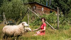 Manželé Jasanští si na spásání trávy pořídili ovce.