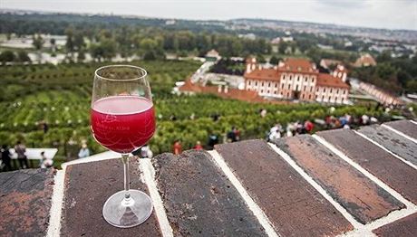 Z teras vinice sv. Kláry v Botanické zahrad v Troji se nabízí hezký výhled na...