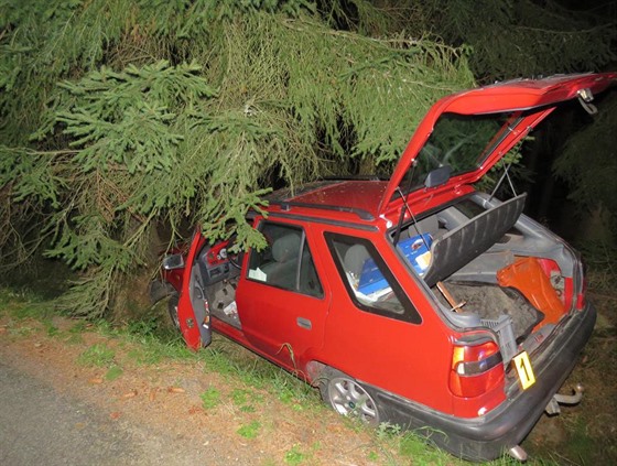 Mladý řidič se vyhýbal zvěři na silnici, narazil do stromu