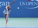Srbská tenistka Ana Ivanoviová se protrápila utkáním s Allertovou.
