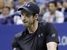 Britský tenista Andy Murray hraje proti Rosolovi.
