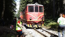U zastávky Chválkov na Pelhimovsku se v úterý ráno eln srazily dva vlaky.