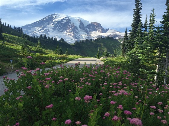 Pohled na Mt. Rainier od historické horské chaty Paradise Inn. Pipadal jsem si...