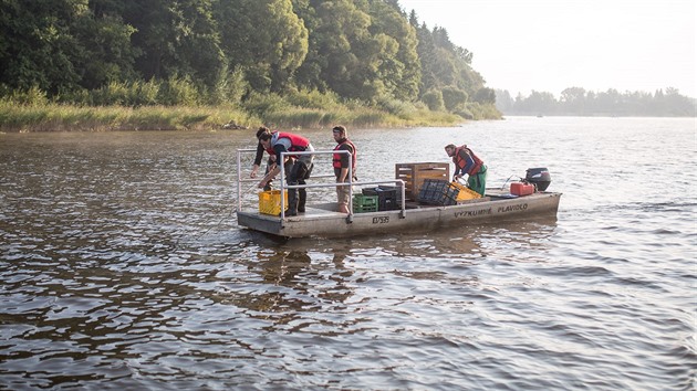 Hydrobiologové zkoumali ryby na Lipn.