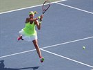 eská tenistka Petra Kvitová bojuje ve 3. kole US Open.