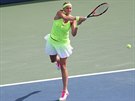 eská tenistka Petra Kvitová hraje ve 3. kole US Open.