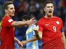 POLSKO. Z osmadvaceti kvalifikaních gól Polák jich Robert Lewandowski,...