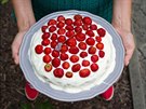 Jahodový dort ze védské kuchaky Dominiky Wittenberg Gaparové