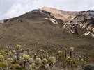 Biotop páramo v nedalekém národním parku Los Nevados
