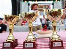 Trofej pro vítze Mistrovství R a SR v pojídání pálivého Chillirout 2016...