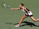 TOHLE MÁM. Karolína Plíková ve tvrtfinále US Open.