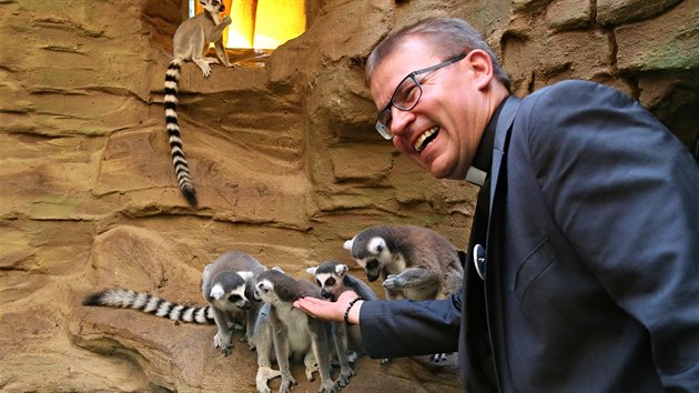 Plzesk biskup Tom Holub adoptoval v plzesk zoologick zahrad holuba krvavho, pi prohldce expozic krmil lemury. (1. 9. 2016)