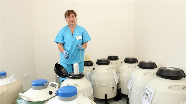 Embryoložka Jana Březinová se speciálními sudy v nichž se v tekutém dusíku mrazí sperma dárců i mužů, kteří si své zdravé spermie chtějí uchovat do budoucna (2. 9. 2016)