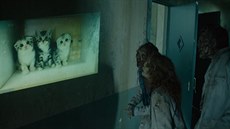 Zombíky zastavilo ko�i�í video