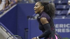 Serena Williamsová se raduje z úspné výmny v semifinále US Open.